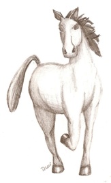 horse sketch pencil
